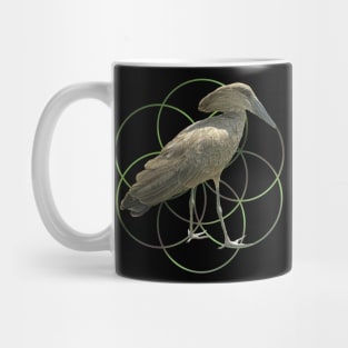 Hamerkop - Bird in Kenya / Africa Mug